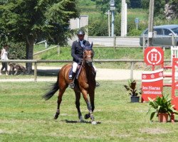 broodmare Pink Lady D'Emm (Selle Français, 2003, from For Pleasure)