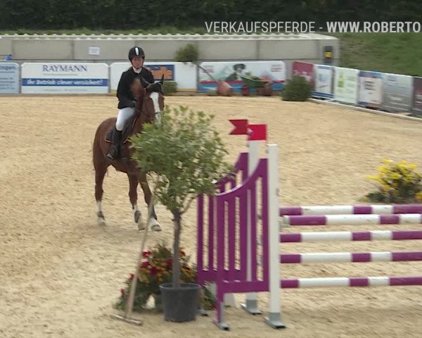 Osterspringen Amriswil 2019