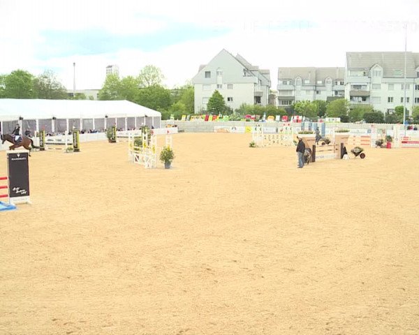 Osterspringen Amriswil 2019