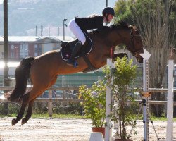 broodmare Chermette (KWPN (Royal Dutch Sporthorse), 2007, from Douglas)