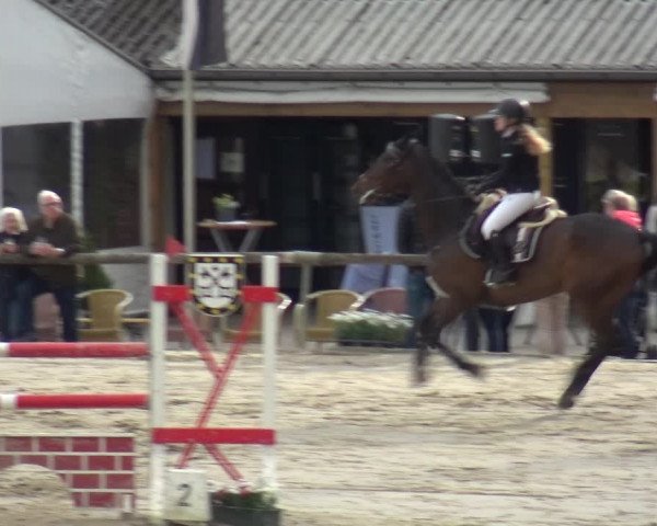 Reitturnier Xanten - Moermter 2019