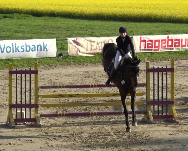 Reitturnier Xanten - Moermter 2019