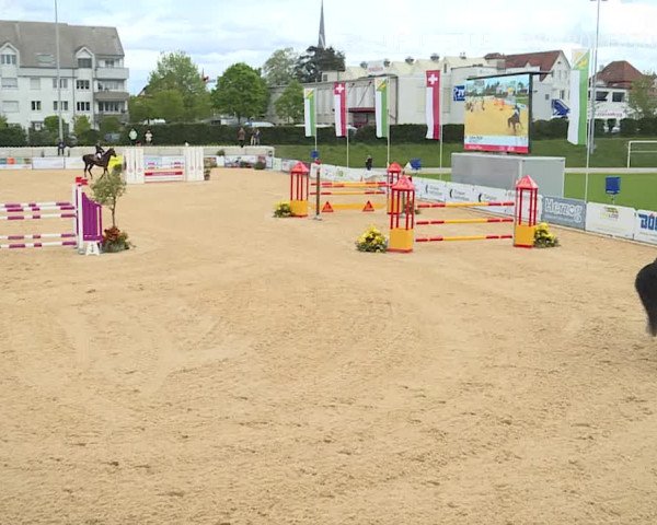 Osterspringen Amriswil 2019