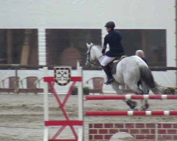 Reitturnier Xanten - Moermter 2019
