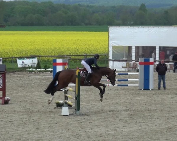 Reitturnier Xanten - Moermter 2019