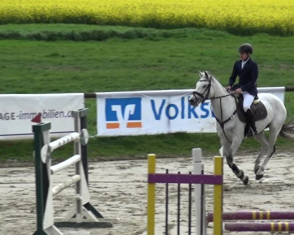 Reitturnier Xanten - Moermter 2019