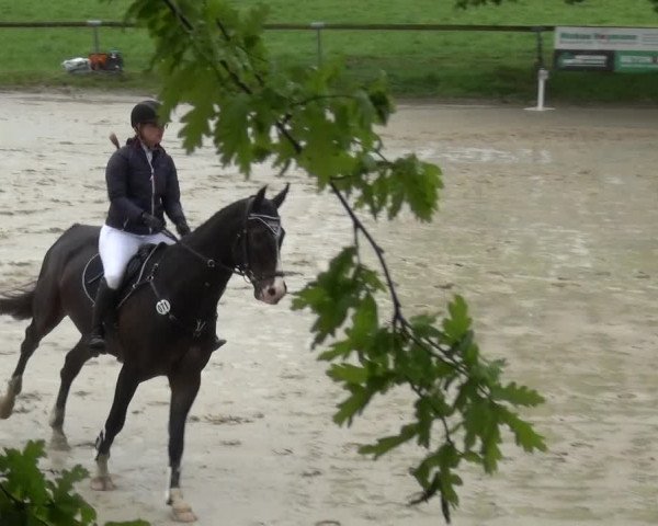 Reitturnier Xanten - Moermter 2019