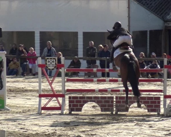 Reitturnier Xanten - Moermter 2019