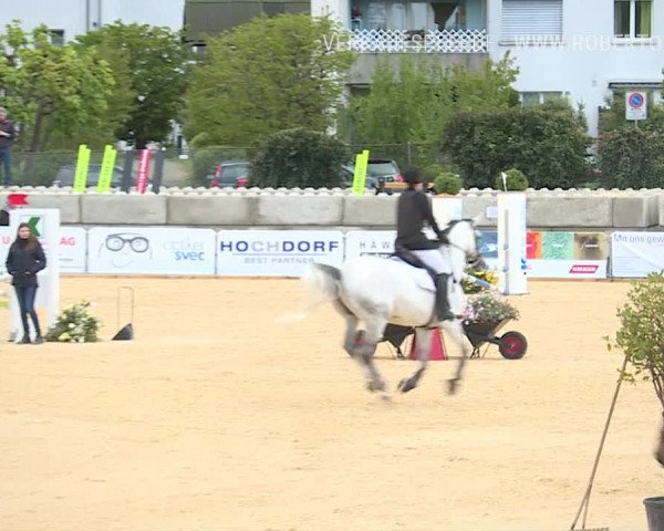 Osterspringen Amriswil 2019