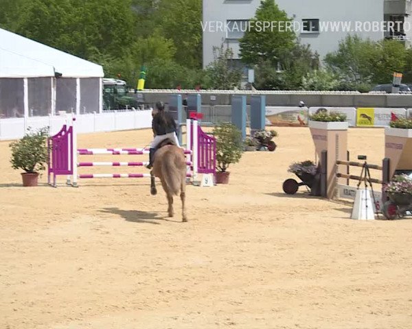 Osterspringen Amriswil 2019