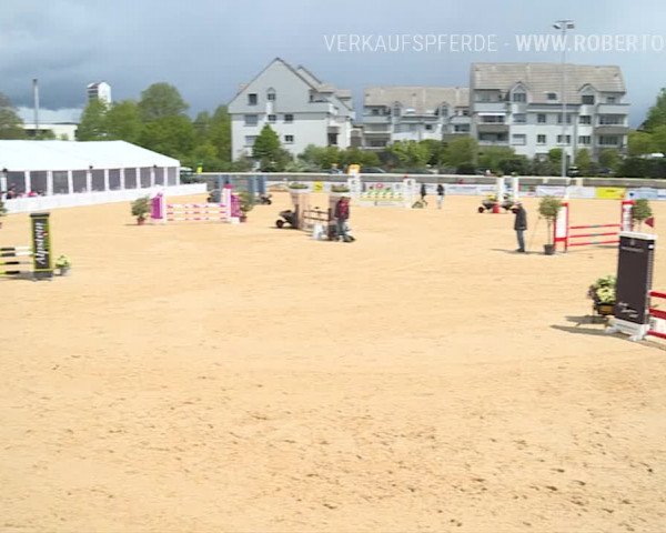 Osterspringen Amriswil 2019