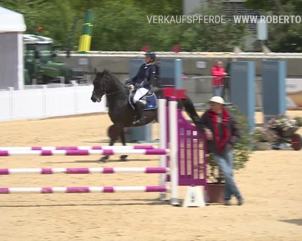 Osterspringen Amriswil 2019