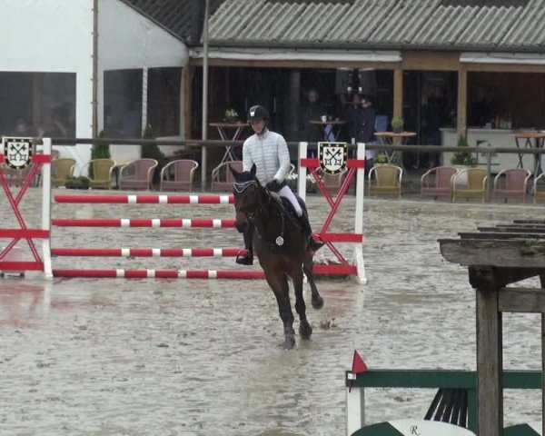 Reitturnier Xanten - Moermter 2019