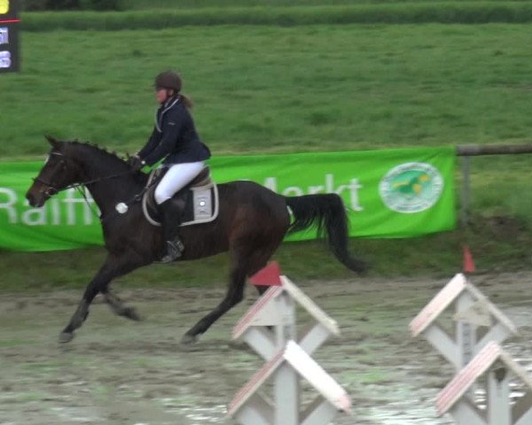 Reitturnier Xanten - Moermter 2019