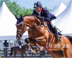 Springpferd S I E C Lonnie (Hannoveraner, 2005, von Le Primeur)