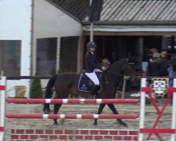 Reitturnier Xanten - Moermter 2019