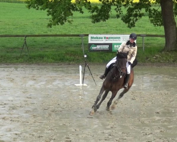 Reitturnier Xanten - Moermter 2019