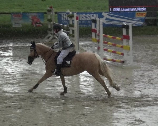 Reitturnier Xanten - Moermter 2019