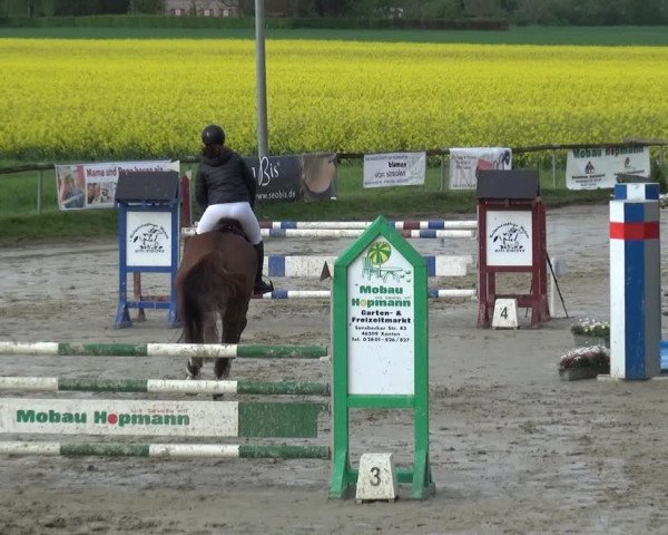 Reitturnier Xanten - Moermter 2019