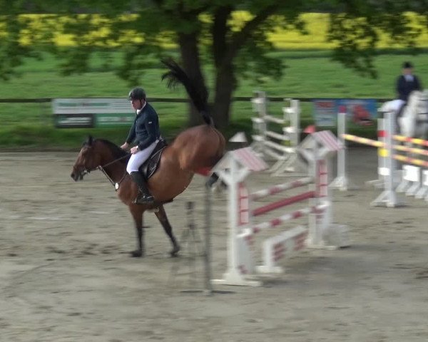 Reitturnier Xanten - Moermter 2019