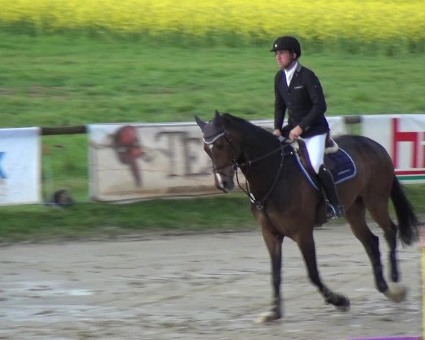 Reitturnier Xanten - Moermter 2019