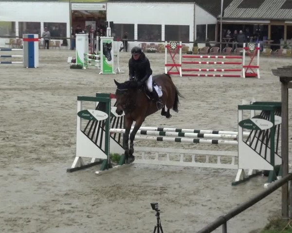 Reitturnier Xanten - Moermter 2019