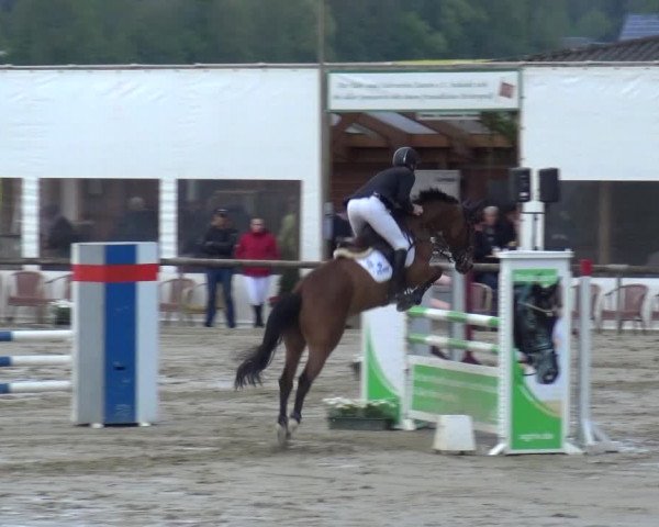 Reitturnier Xanten - Moermter 2019