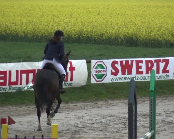 Reitturnier Xanten - Moermter 2019