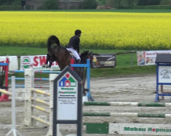 Reitturnier Xanten - Moermter 2019