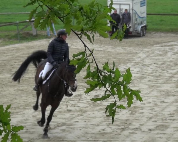 Reitturnier Xanten - Moermter 2019
