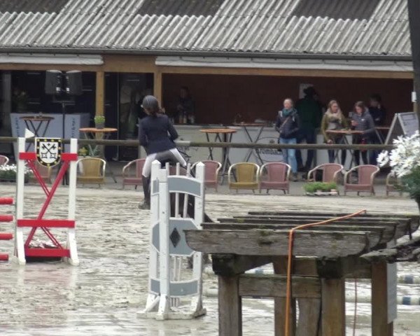 Reitturnier Xanten - Moermter 2019