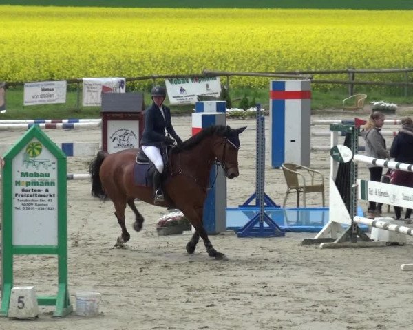 Reitturnier Xanten - Moermter 2019