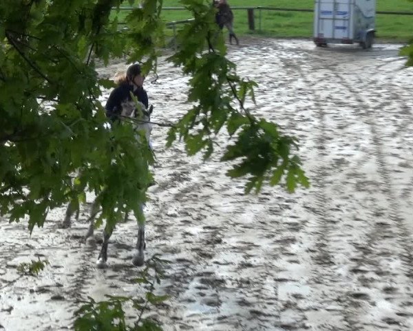 Reitturnier Xanten - Moermter 2019