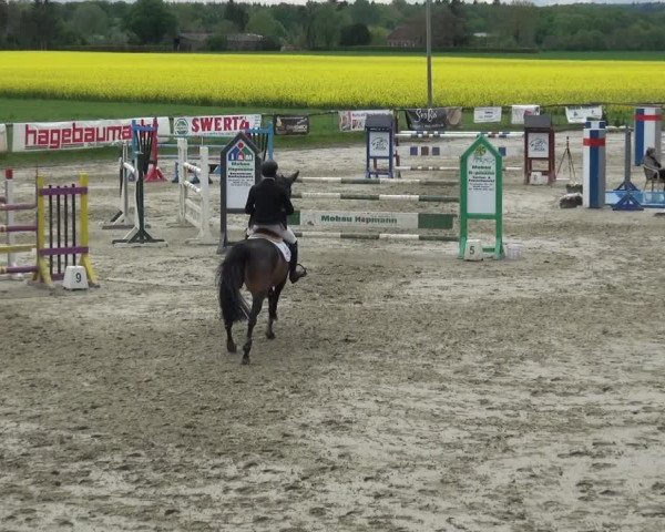 Reitturnier Xanten - Moermter 2019