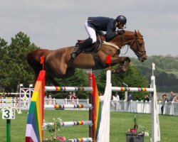Springpferd Ria Brulaire (Selle Français, 2005, von Quaprice Z)