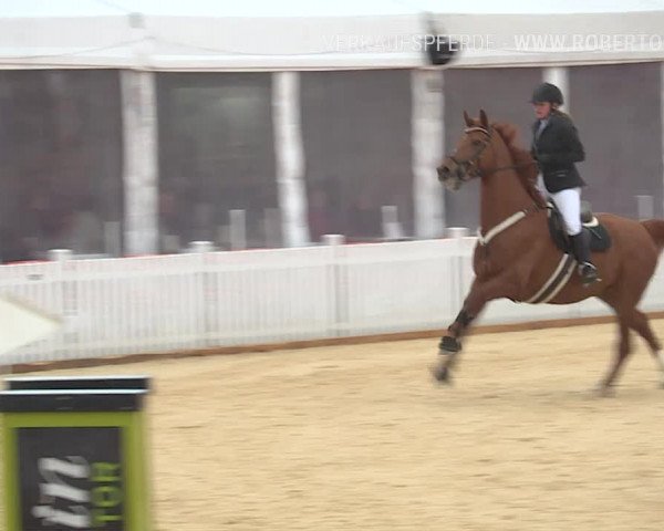 Osterspringen Amriswil 2019