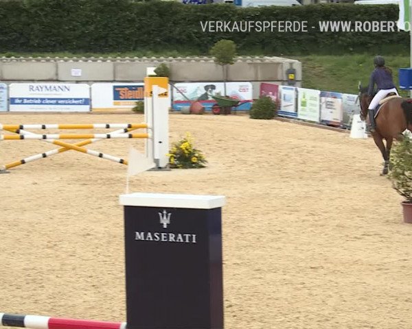 Osterspringen Amriswil 2019