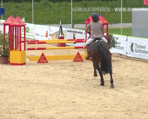 Osterspringen Amriswil 2019