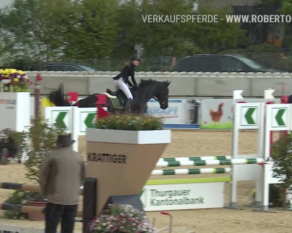 Osterspringen Amriswil 2019