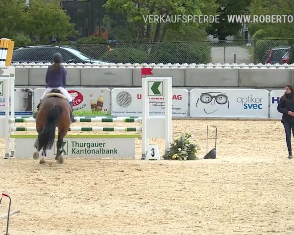 Osterspringen Amriswil 2019