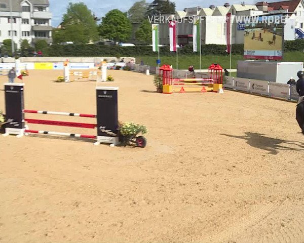 Osterspringen Amriswil 2019
