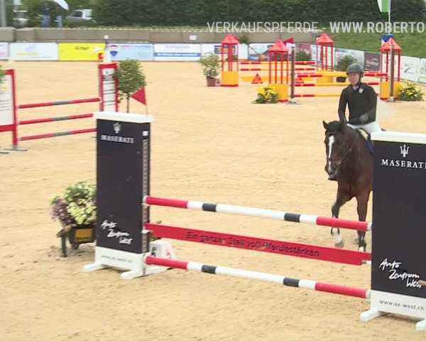 Osterspringen Amriswil 2019