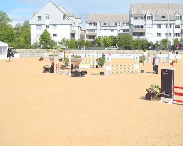 Osterspringen Amriswil 2019