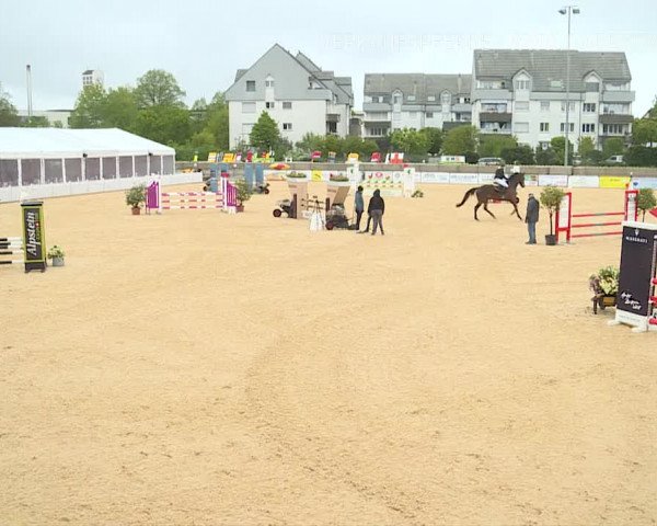 Osterspringen Amriswil 2019