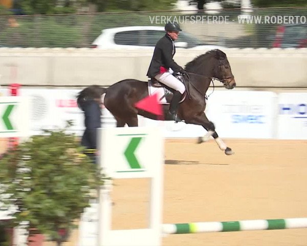 Osterspringen Amriswil 2019