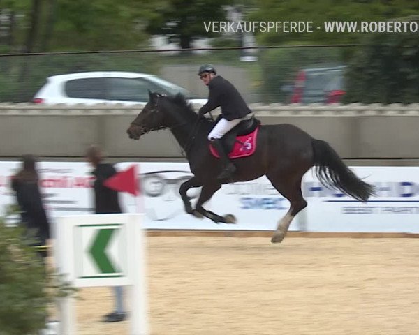 Osterspringen Amriswil 2019