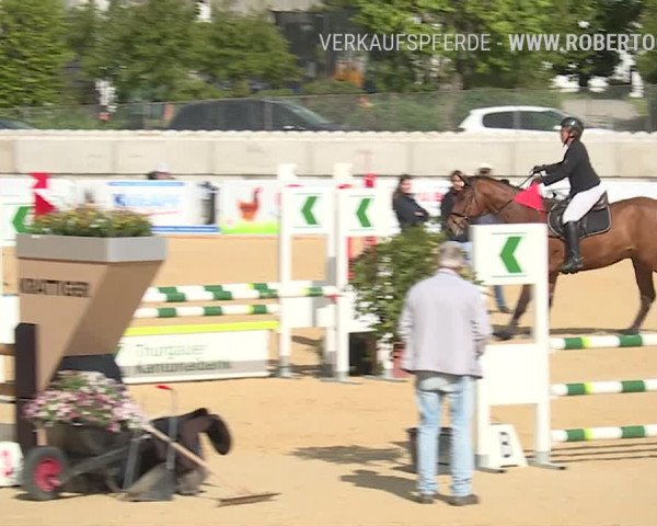 Osterspringen Amriswil 2019