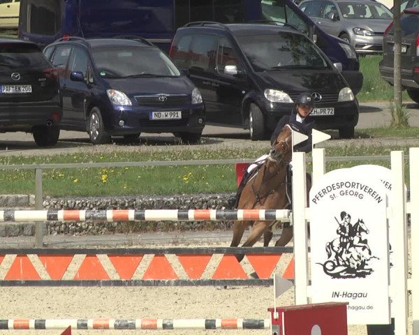 Reitturnier Ingolstadt-Hagau 2019