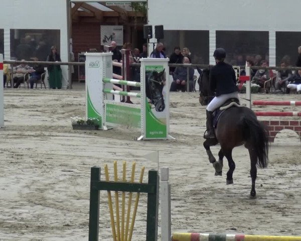 Reitturnier Xanten - Moermter 2019