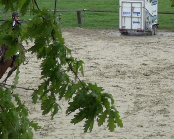 Reitturnier Xanten - Moermter 2019